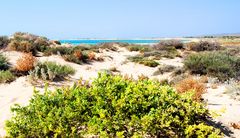 Blick über die Dünen auf die Varanus Beach