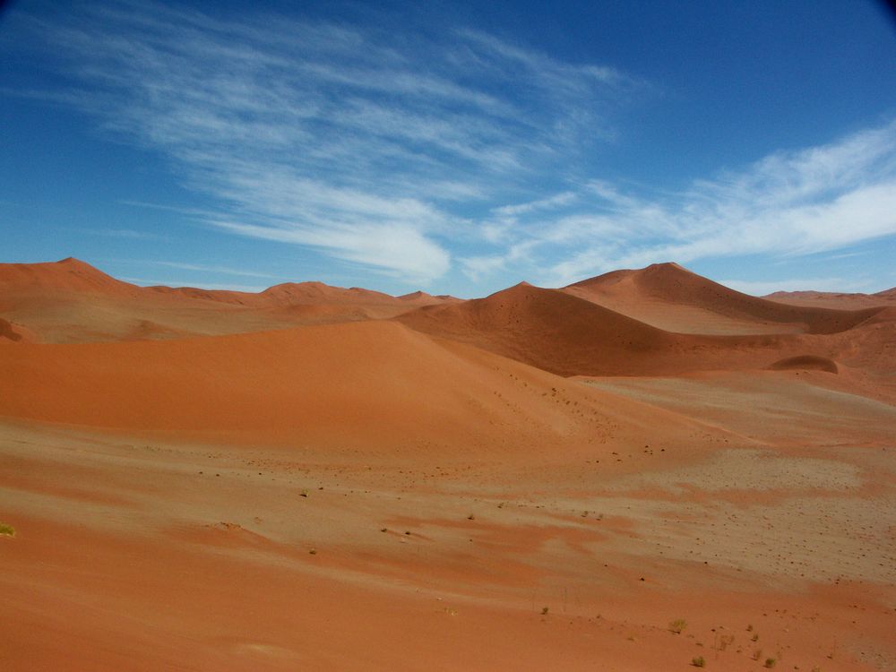 Blick über die Dünen der Namib