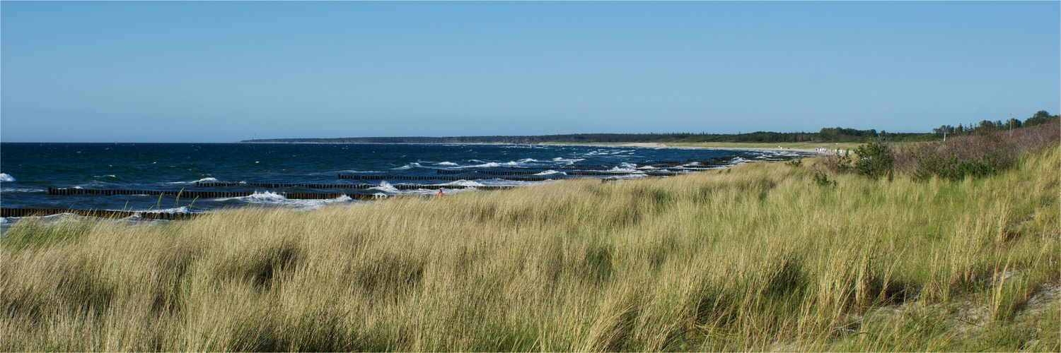 Blick über die Dünen von Ahrenshoop hoch zum Darßer Ort