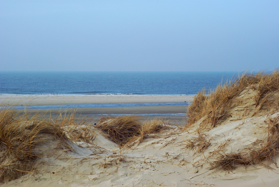 Blick über die Dünen zum Meer