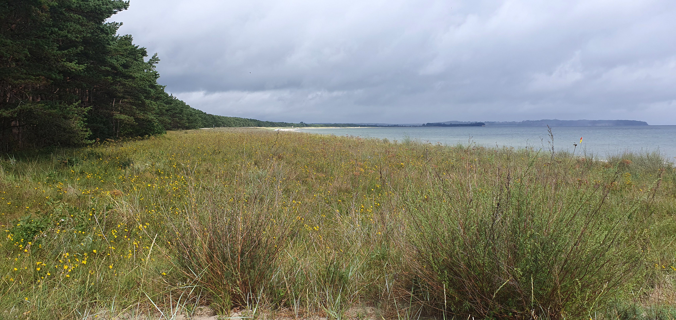 Blick über die Dünen zur Ostsee