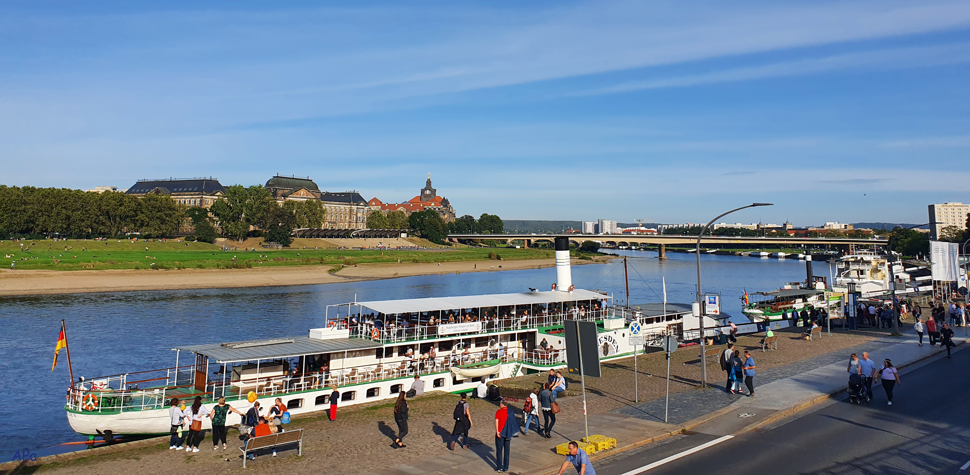 Blick über die Elbe