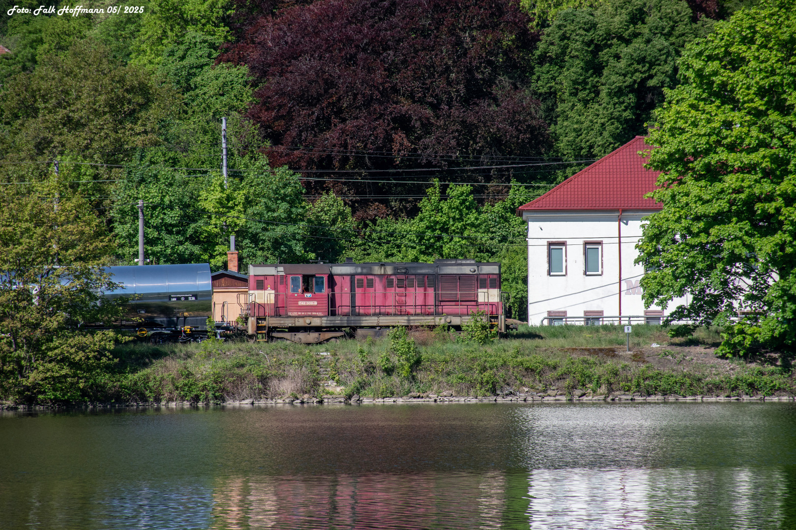 Blick über die Elbe