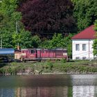 Blick über die Elbe