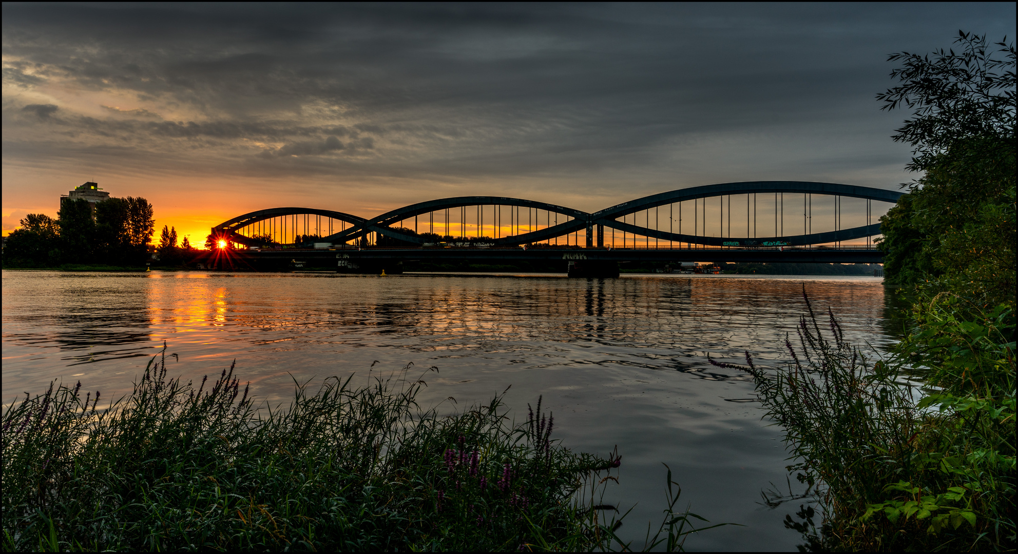 Blick über die Elbe II - 