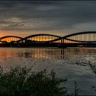 Blick über die Elbe II - 