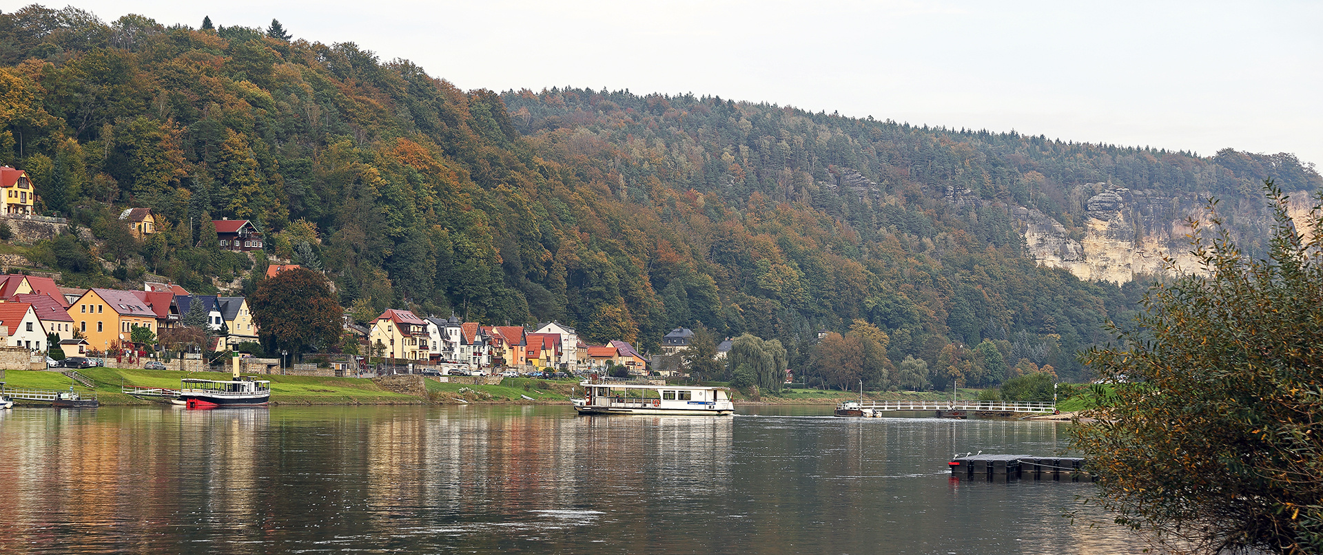 Blick über die Elbe nach Wehlen im Goldenen Herbst...