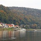 Blick über die Elbe nach Wehlen im Goldenen Herbst...