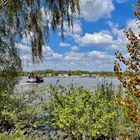 Blick über die Elbe zum Fähranleger Teufelsbrück