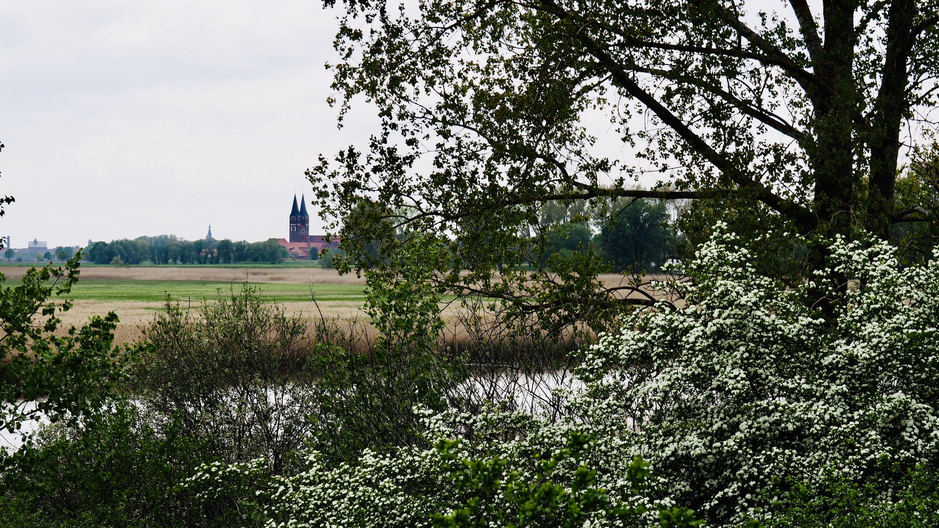 Blick über die Elbe zur Kirche von Jerichow