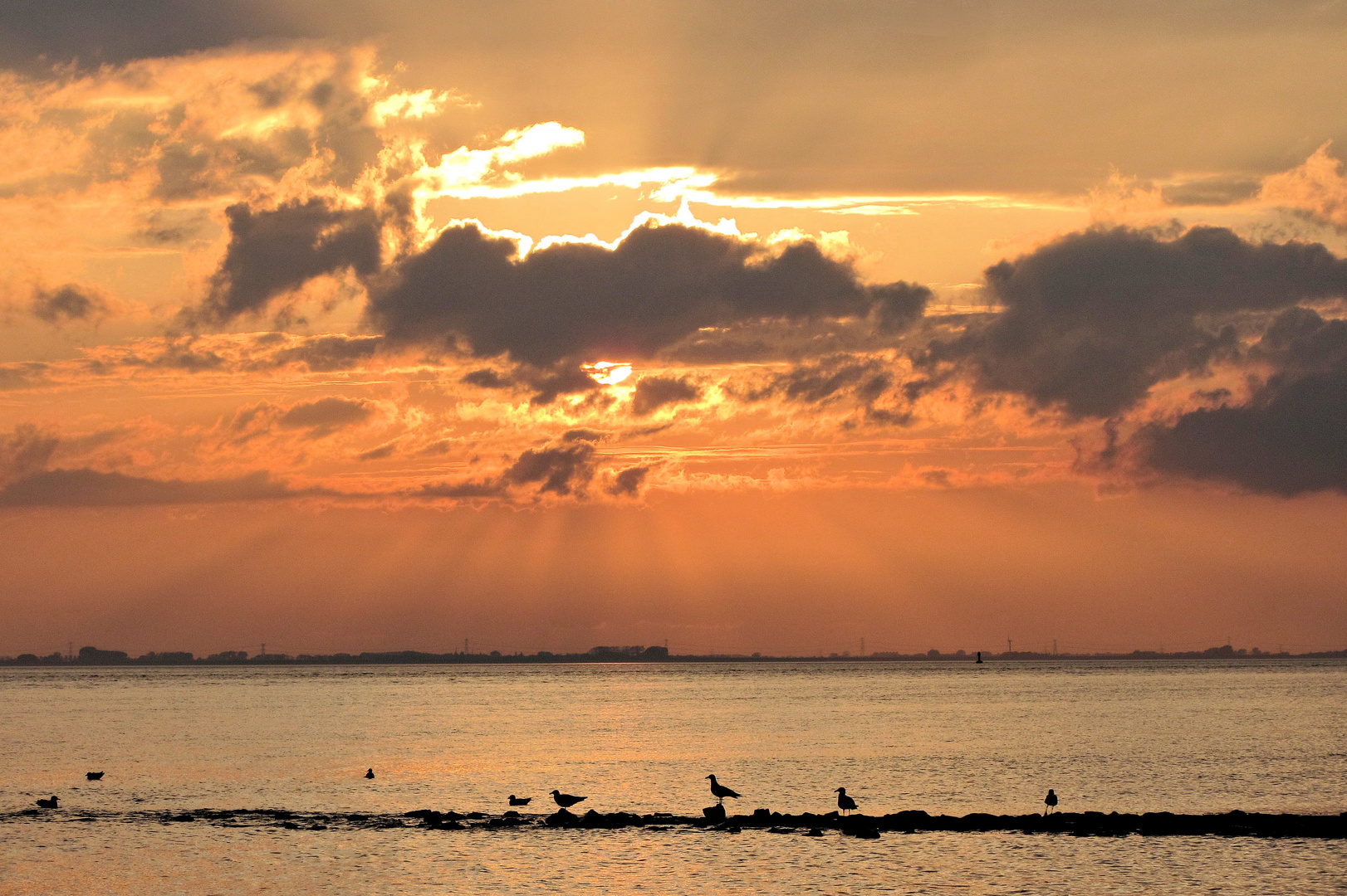 Blick über die Ems nach Delfzijl