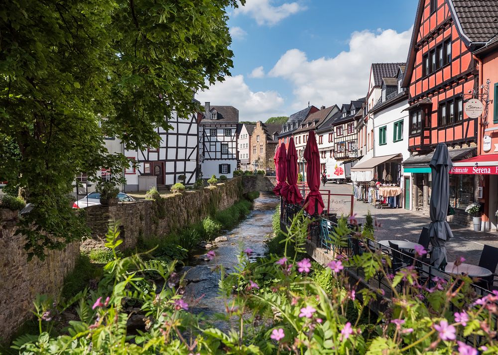 Blick über die Erft auf die Wertherstraße