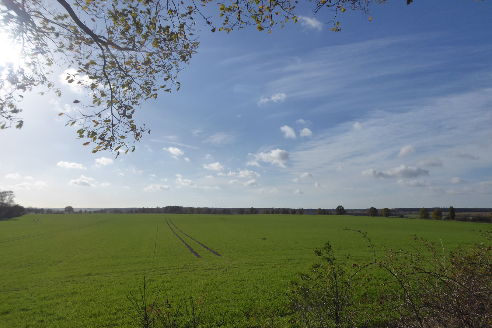 Blick über die Felder