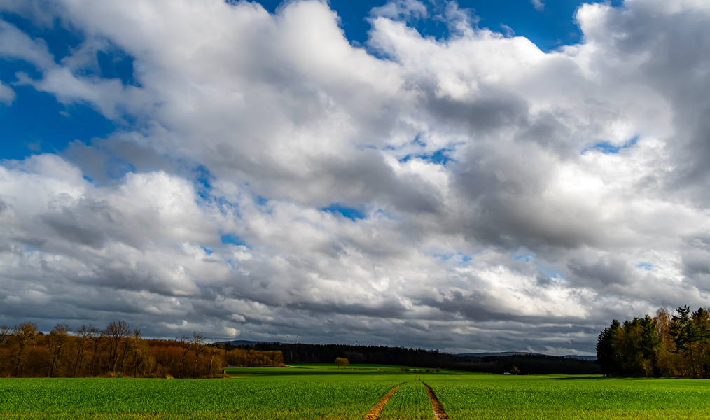 Blick über die Felder 