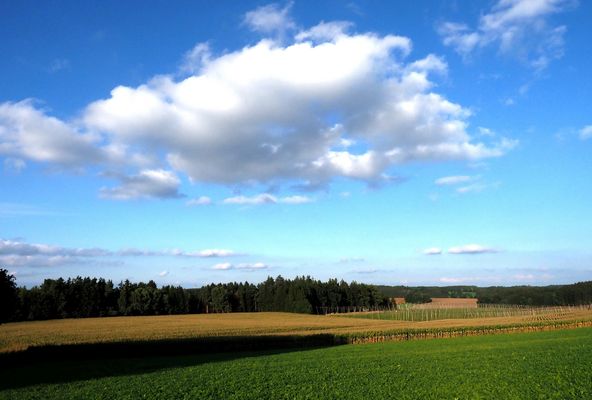 Blick über die Felder