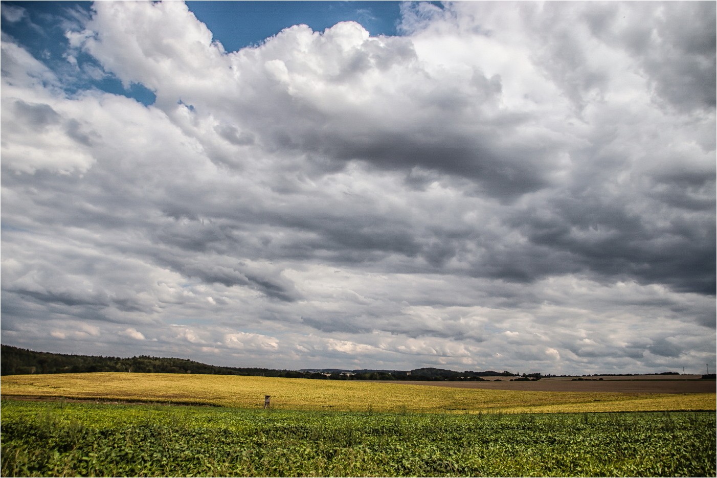 Blick über die Felder