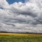 Blick über die Felder