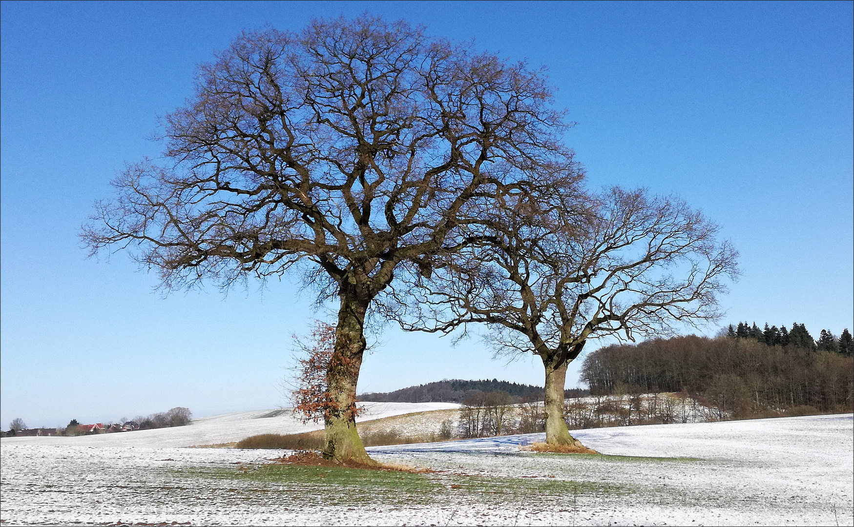 Blick über die Felder an einem sonnigen Februartag 2018