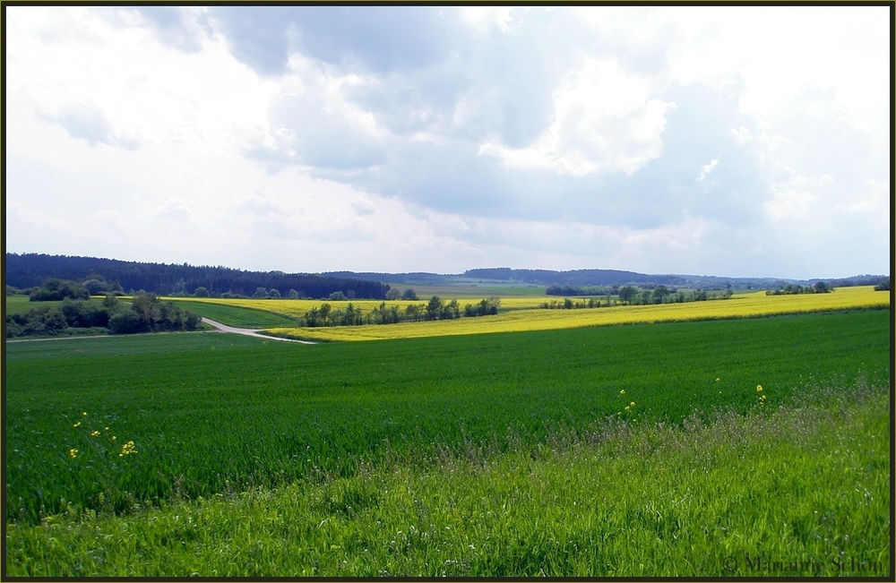 Blick über die Felder...