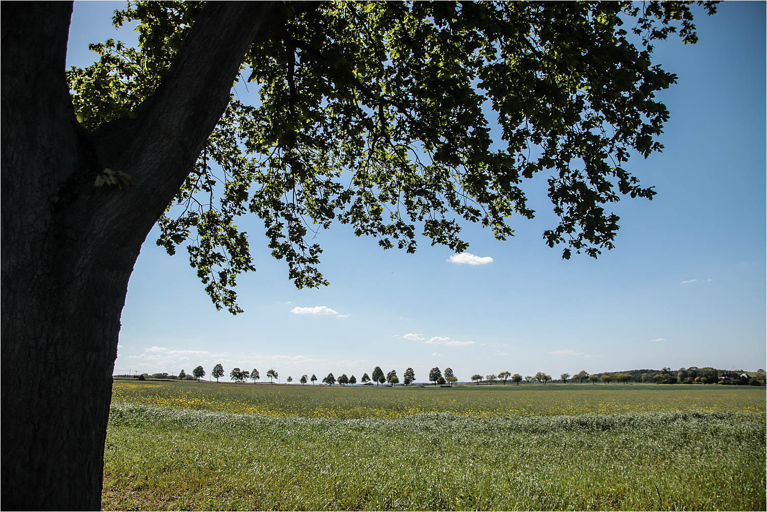 Blick über die Felder