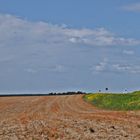 Blick über die Felder und Straßenränder