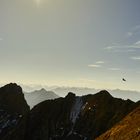 Blick über die Gipfel