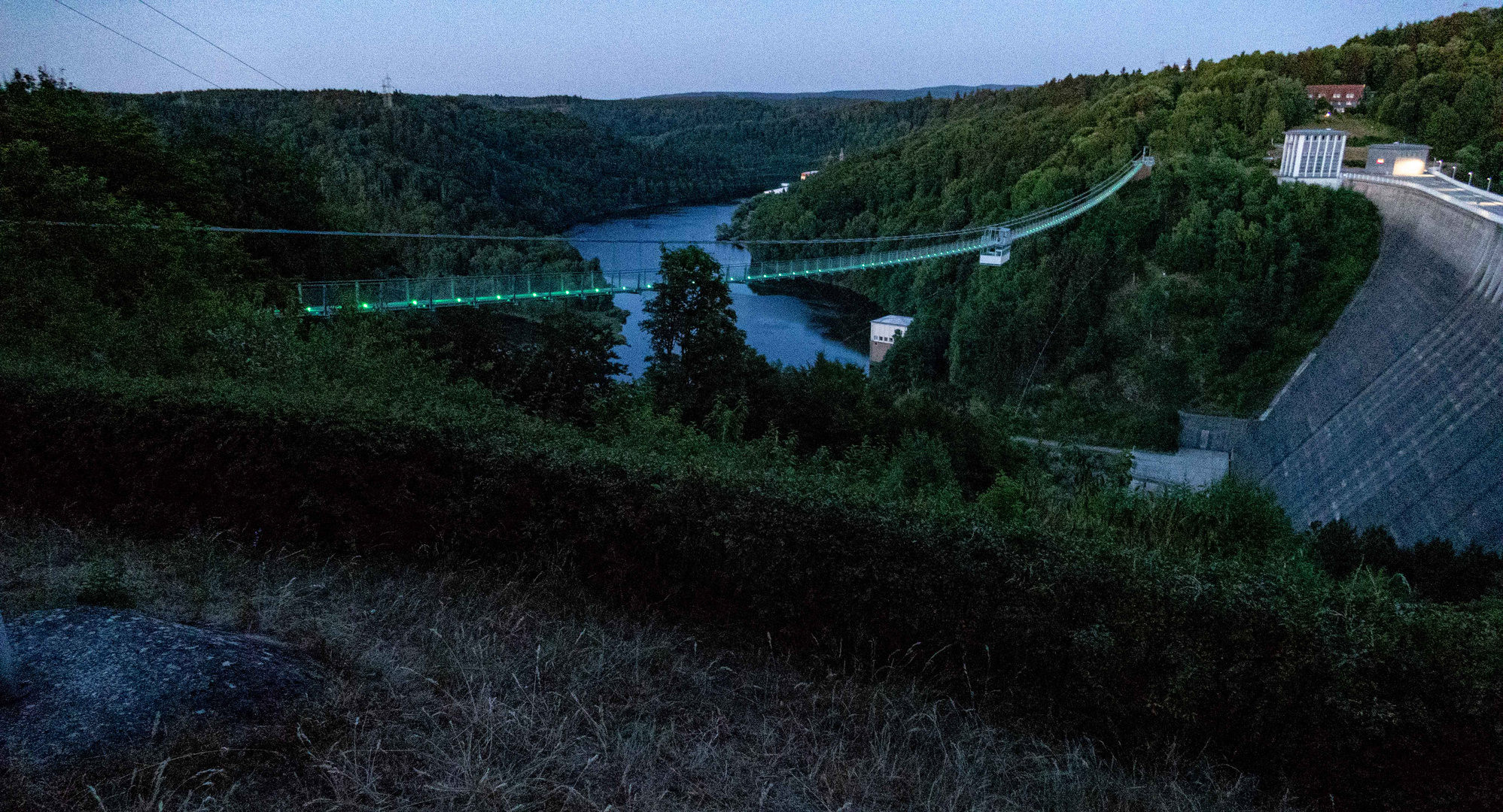 Blick über die Hängebrücke zur Bode 