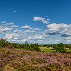 Blick über die Heide