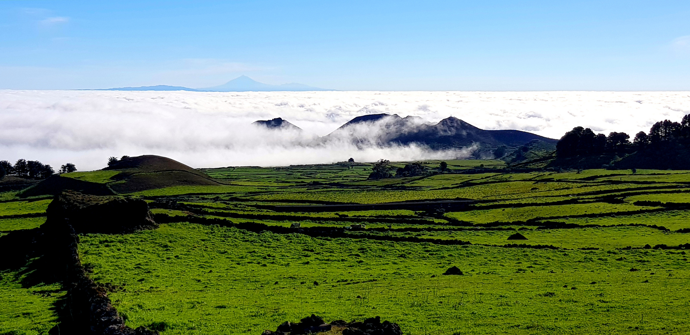 Blick über die Hochebenen El Hierros