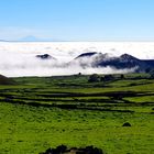 Blick über die Hochebenen El Hierros