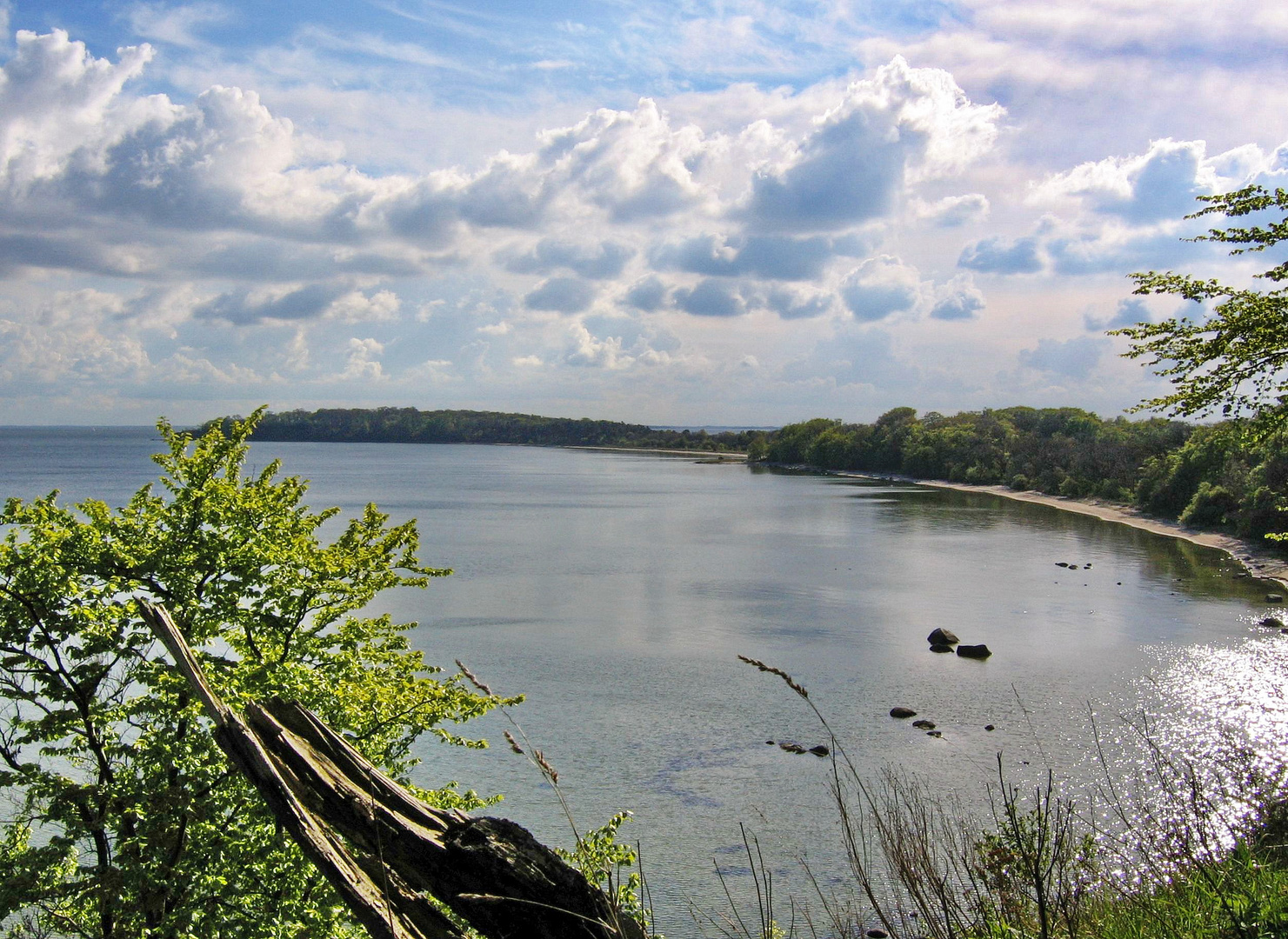 Blick über die Insel Vilm