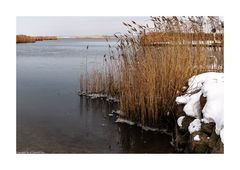 Blick über die Krumminer Wiek