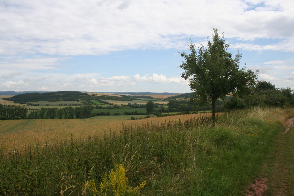 Blick über die Landschaften des Kreises Mansfeld-Südharz bei Tilleda
