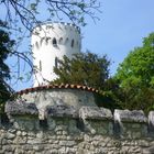 Blick über die Mauer beim Schloss Lichtenstein