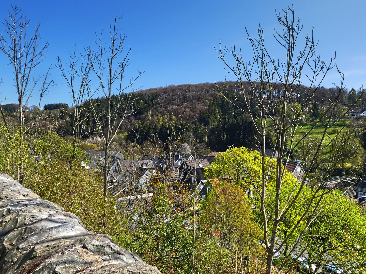 Blick über die Mauer