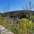 Blick über die Mauer