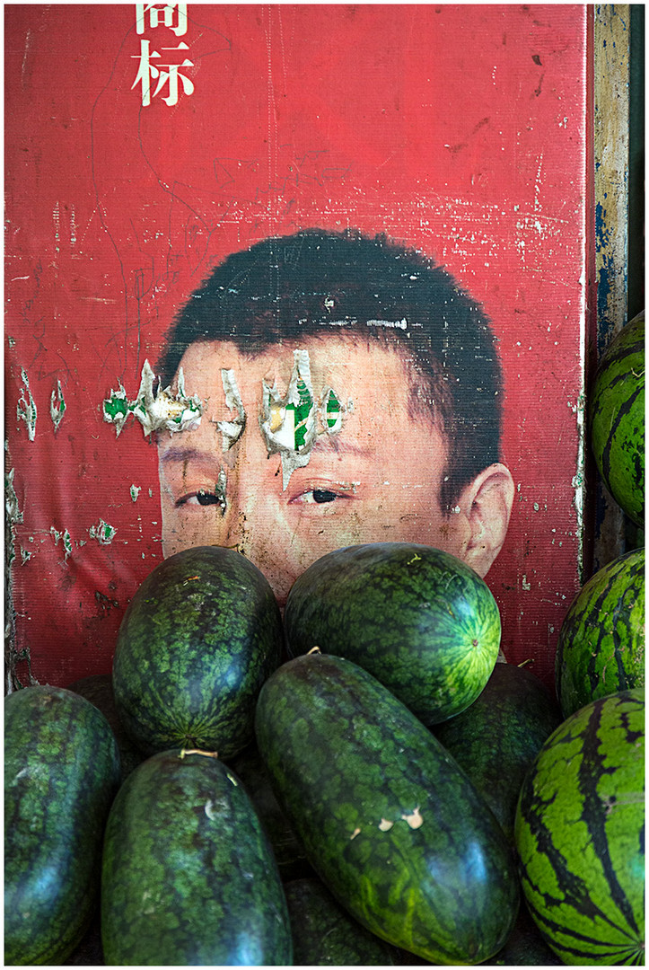 Blick über die Melonen