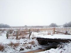 Blick über die Moorwiesen