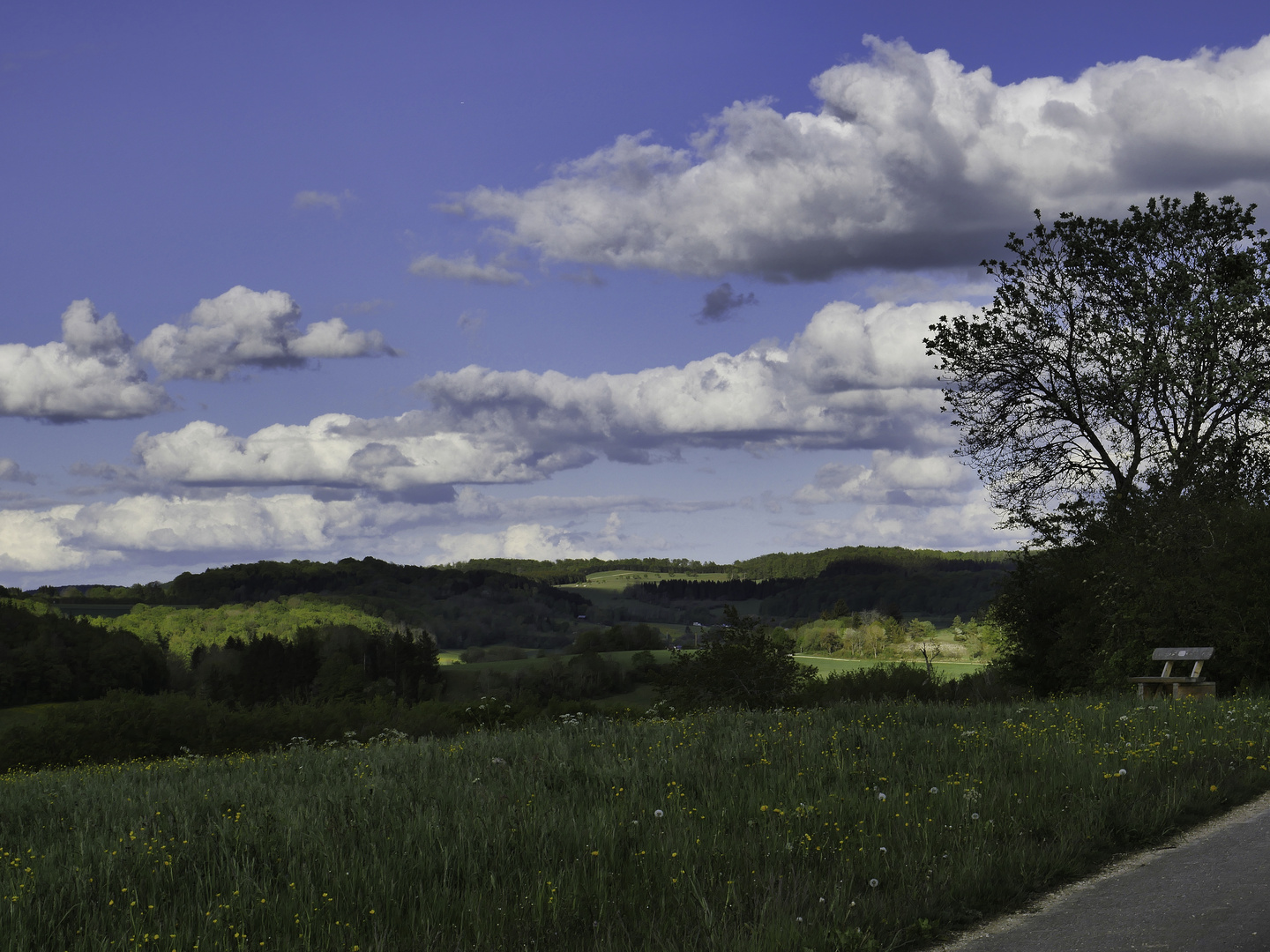 Blick über die Münsinger Alb