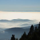 Blick über die Nebelsuppe