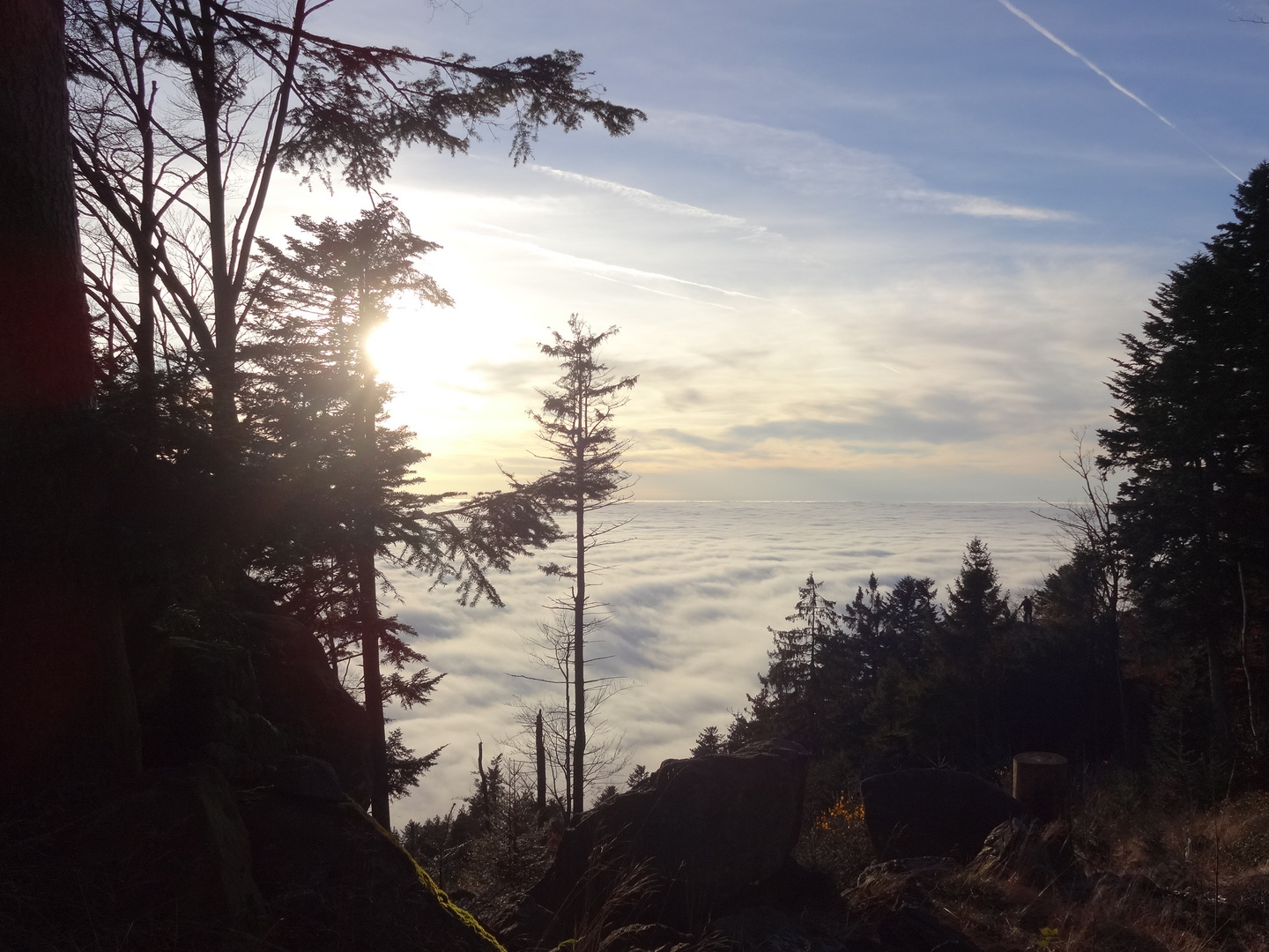 Blick über die Nebelwolken