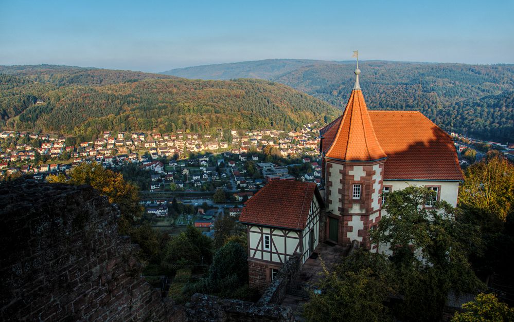 Blick über die Neckar-Landschaft