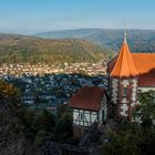 Blick über die Neckar-Landschaft