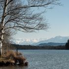 Blick über die Osterseen