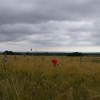 Blick über die Ostsee