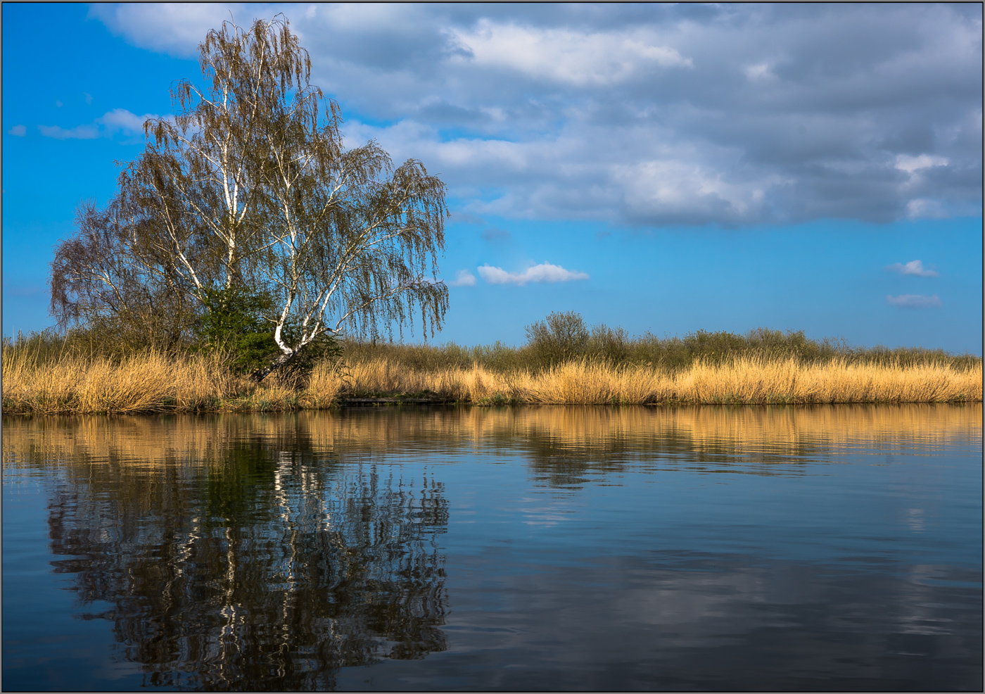 Blick über die Peene