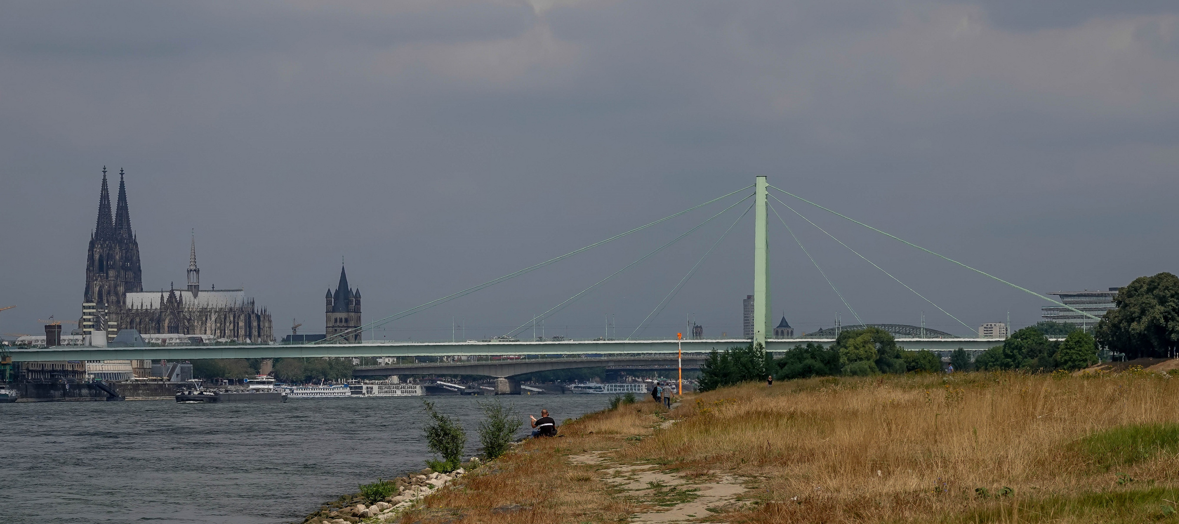 Blick über die Poller Rheinwiesen ...