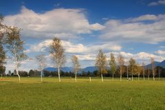 Blick über die Promenade...