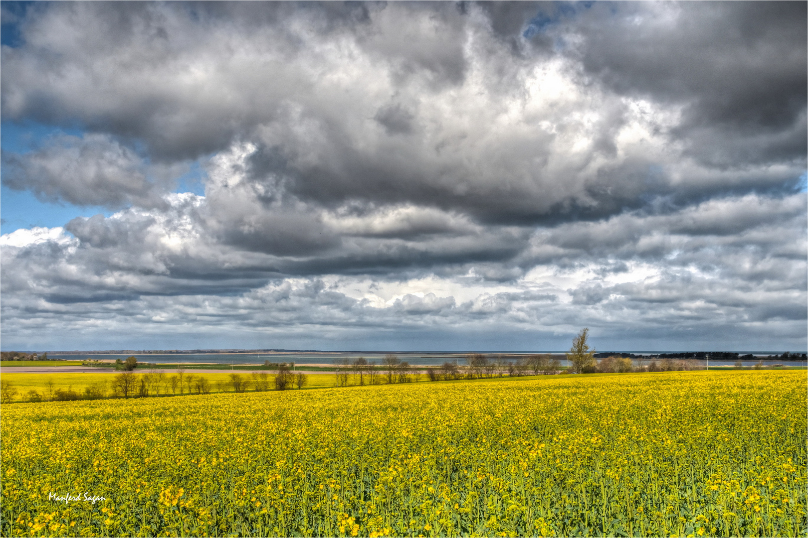 Blick über die Rapsfelder auf den Barther Bodden...