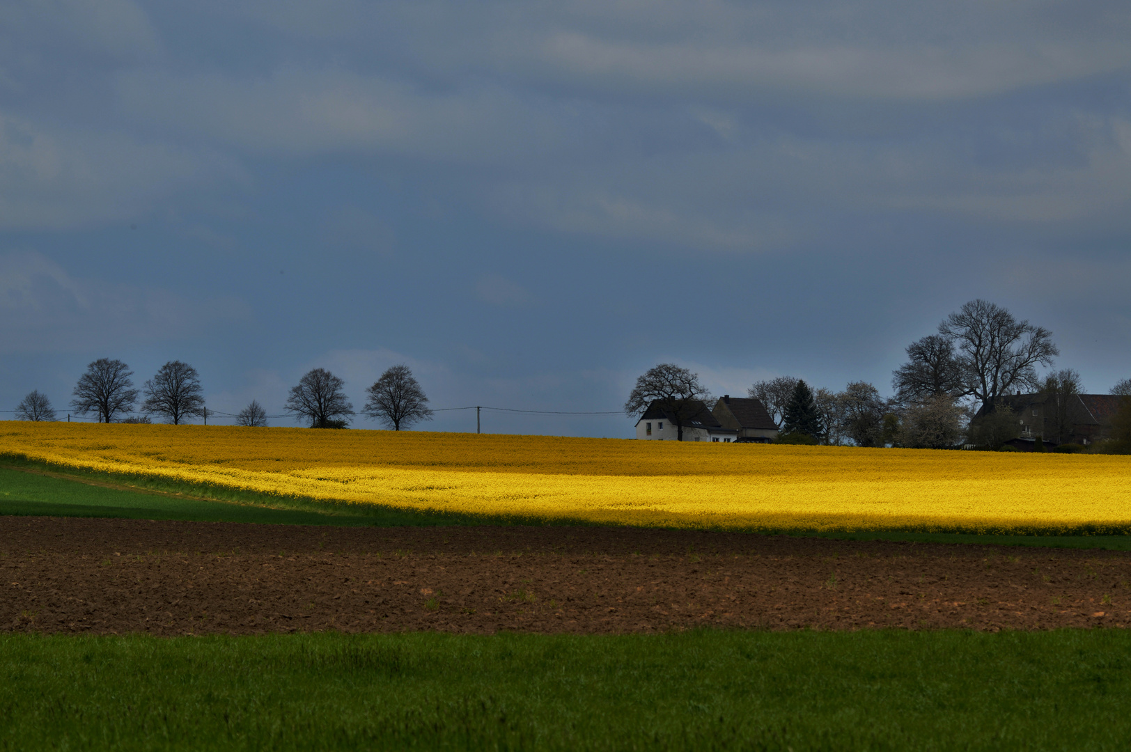 Blick über die Rapsfelder II Foto & Bild spezial, frühling, natur Bilder auf